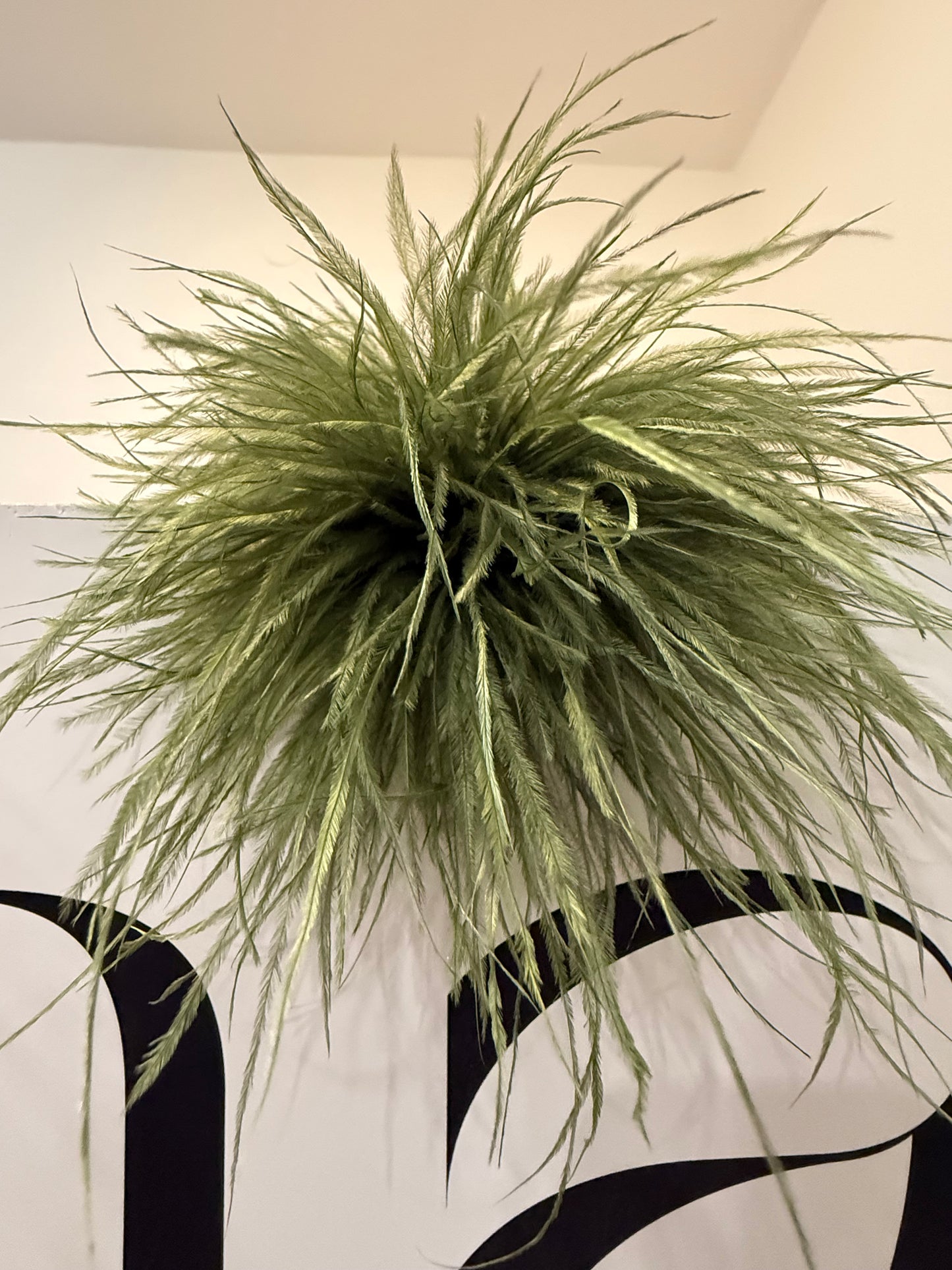 Anstecker Puschel de luxe